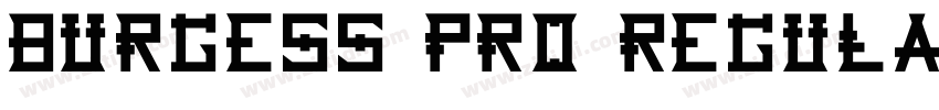 Burgess Pro Regular字体转换 Burgess Pro Regular字体转换